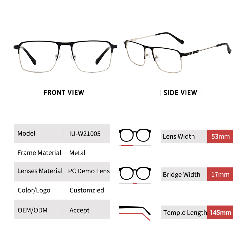 Lunettes pour hommes monture fine_detials