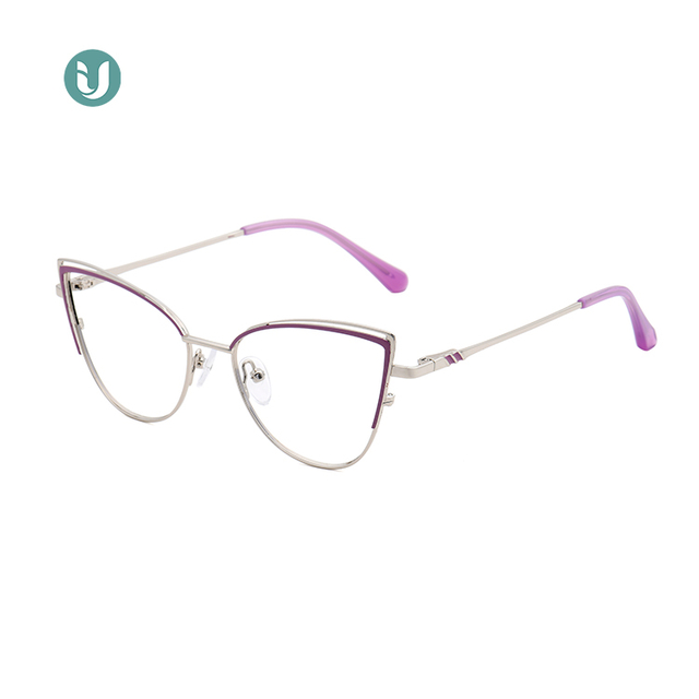 Montures de lunettes en métal en gros WX21016