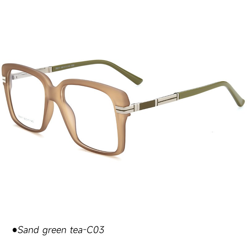 Montures de lunettes Tr90 en gros HT6011