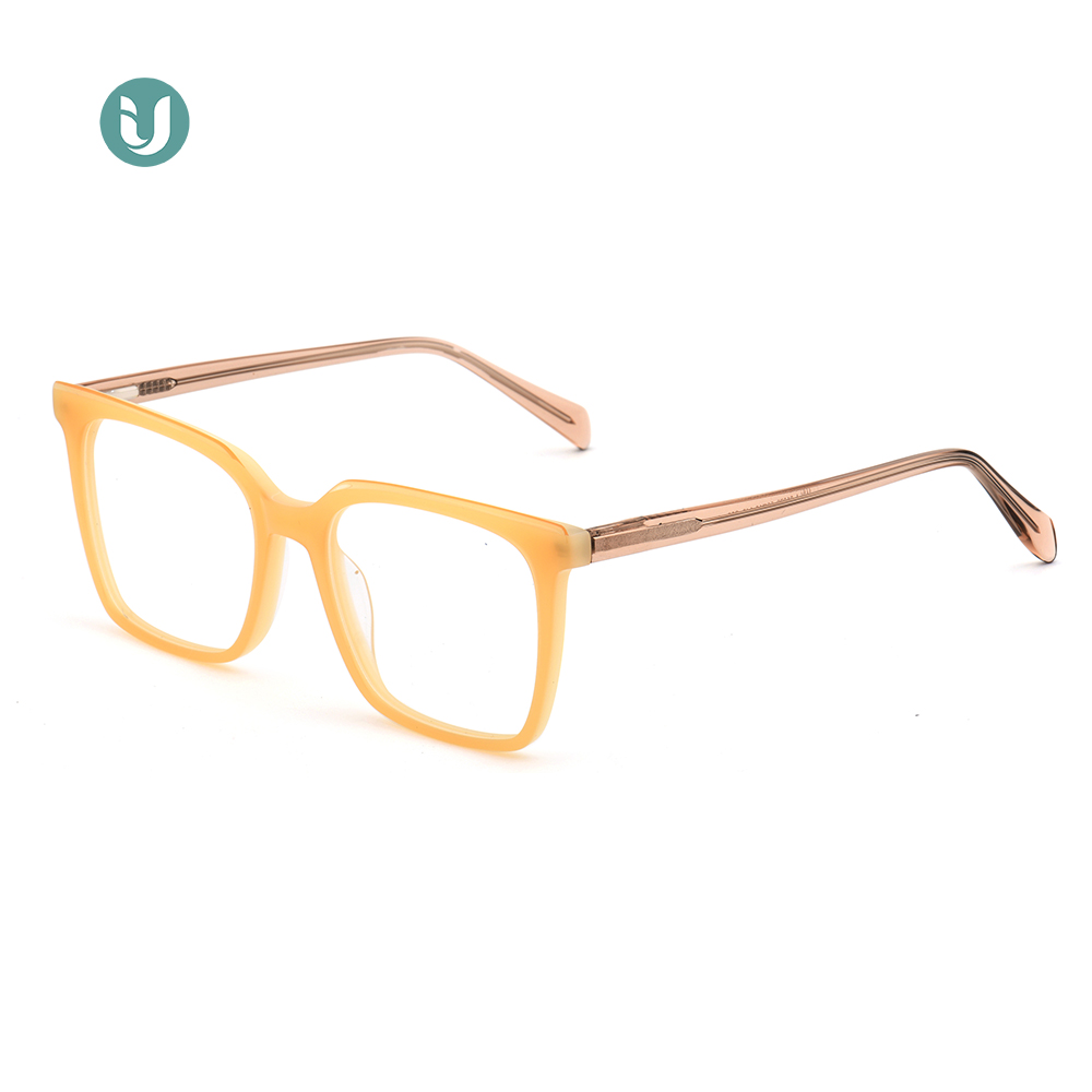 Montures de lunettes en acétate en gros WXA21079