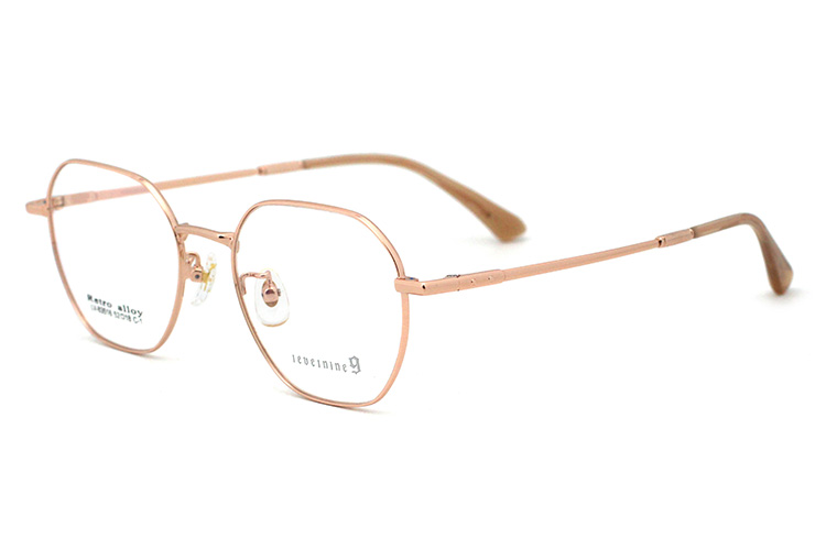 montures optiques m&eacute;talliques-2 