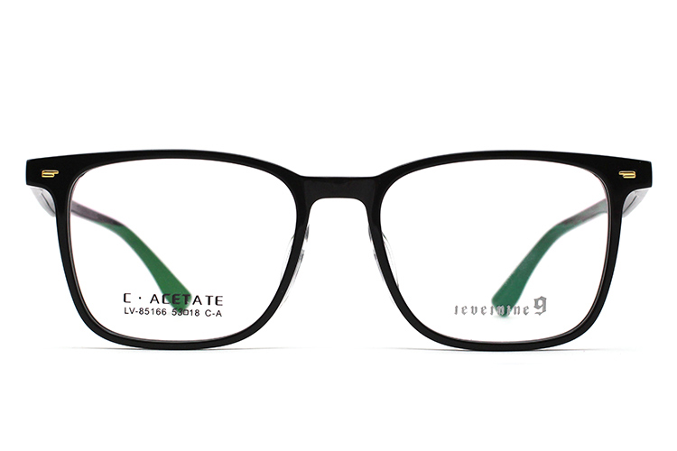 Montures de lunettes en acétate LevelNine 85166