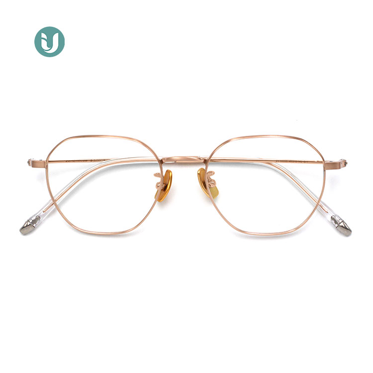 Monture de lunettes en titane en gros 66330