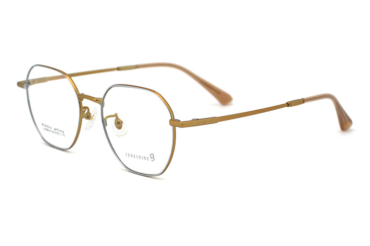 montures optiques m&eacute;talliques-3 