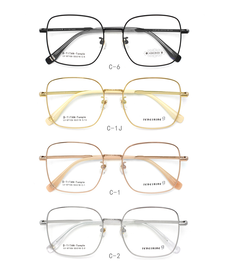 Monture de lunettes Titane 87109-01