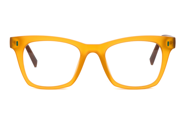 Monture de lunettes Tr90