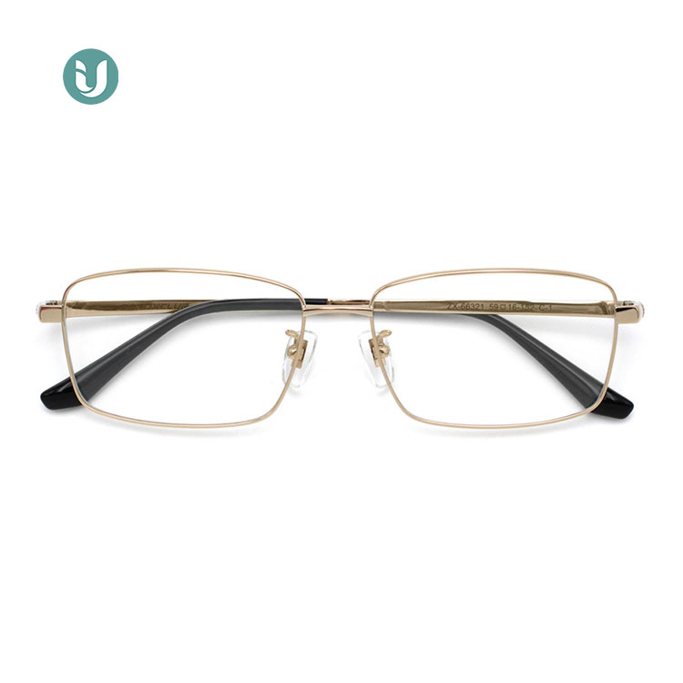 Montures de lunettes en titane en gros 66321