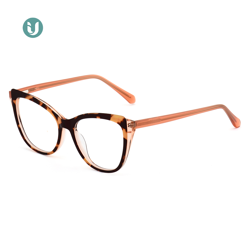 Montures de lunettes en acétate en gros WXA21076