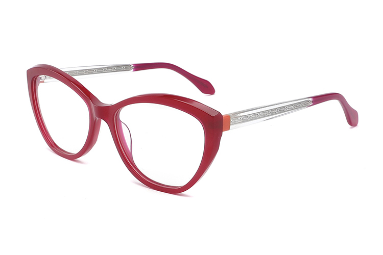 Montures de lunettes en acétate en gros FG1138