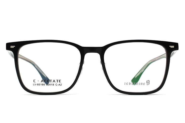 Montures de lunettes en acétate LevelNine 85166