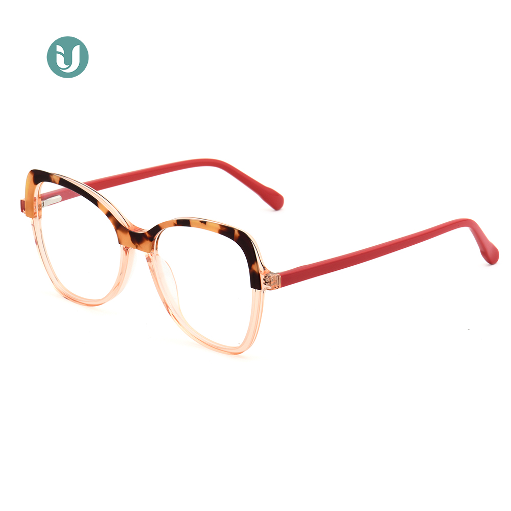 Montures de lunettes en acétate en gros WXA21073