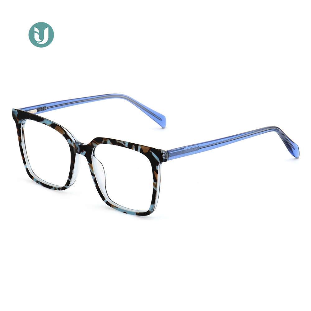 Montures de lunettes en acétate en gros WXA21079