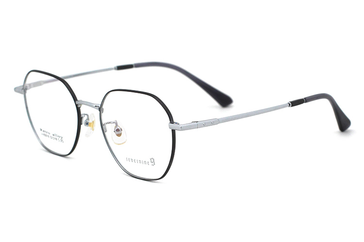 montures optiques m&eacute;talliques-4