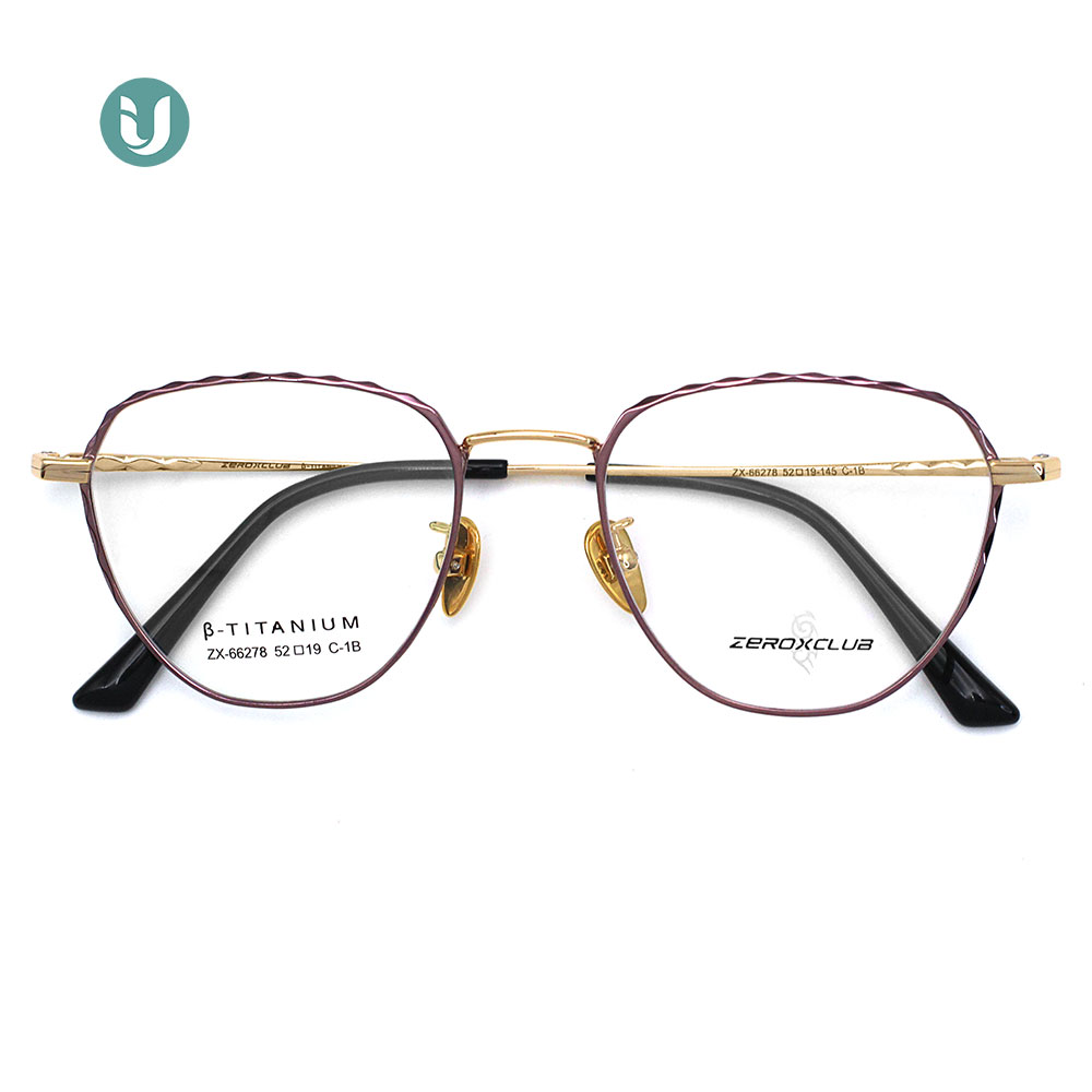 Monture de lunettes en titane en gros 66278