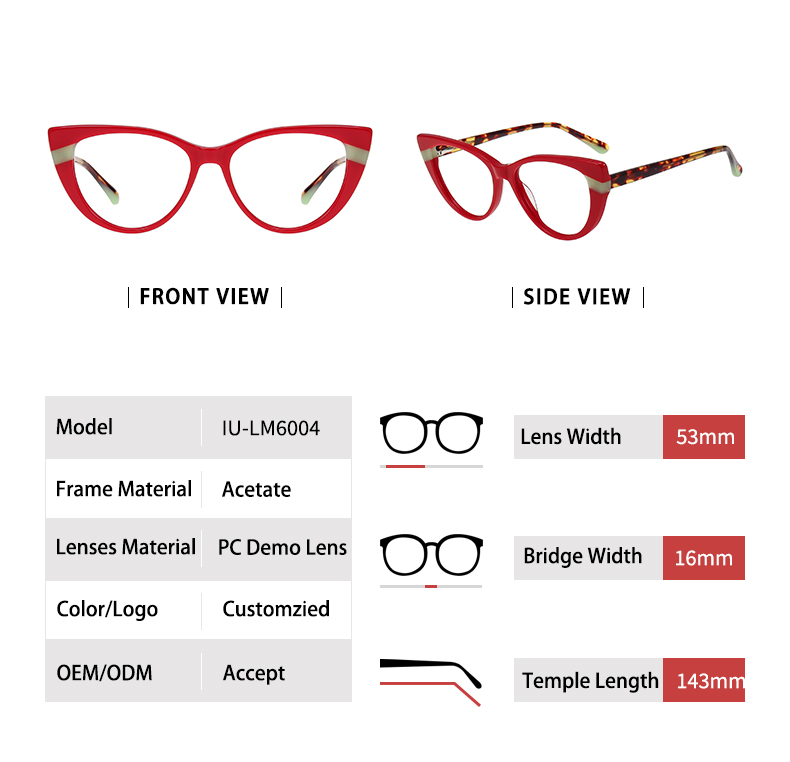 Montures optiques œil de chat_D&eacute;tails