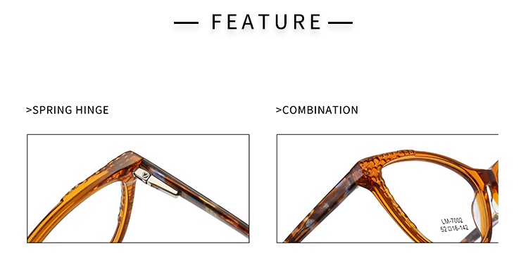 Lunettes &agrave; monture transparente œil de chat - D&eacute;tails